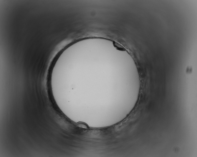 X0000103330104200809261210