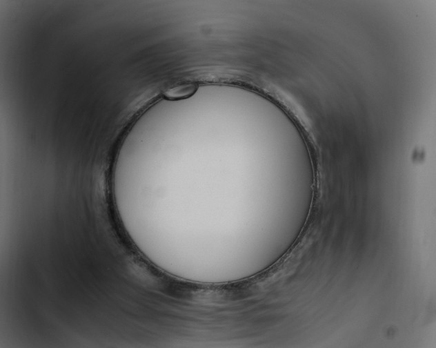 X0000103330105200809261210