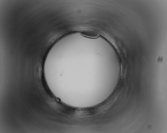 X0000103330109200809261210