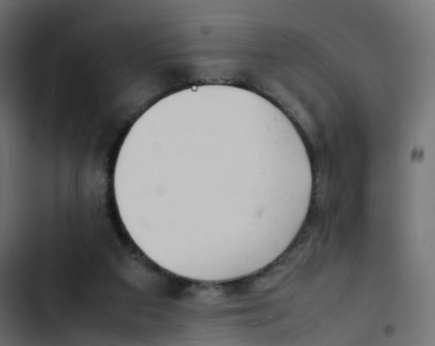 X0000103330113200809261210