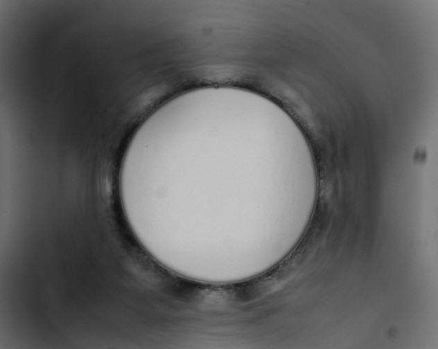 X0000103330115200809261210