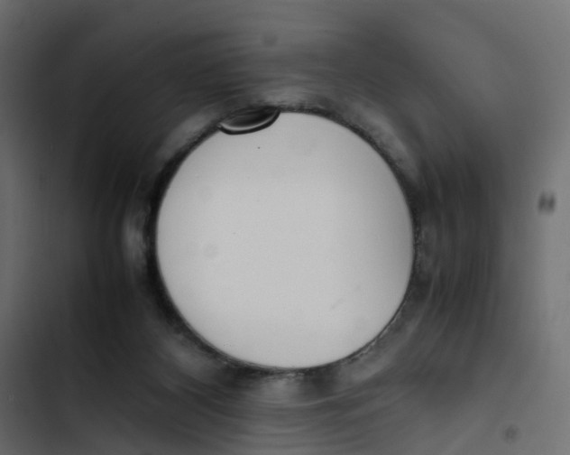 X0000103330116200809261210