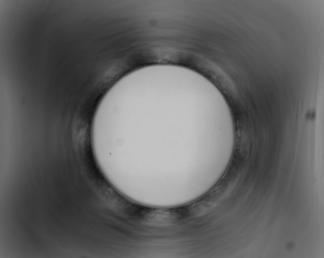 X0000103330123200809261210