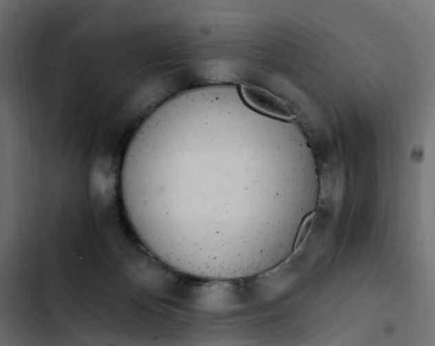 X0000103330124200809261209