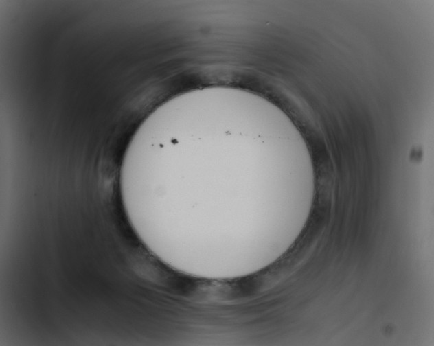 X0000103330125200809261209