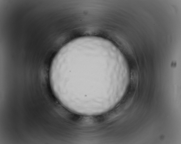 X0000103330127200809261209