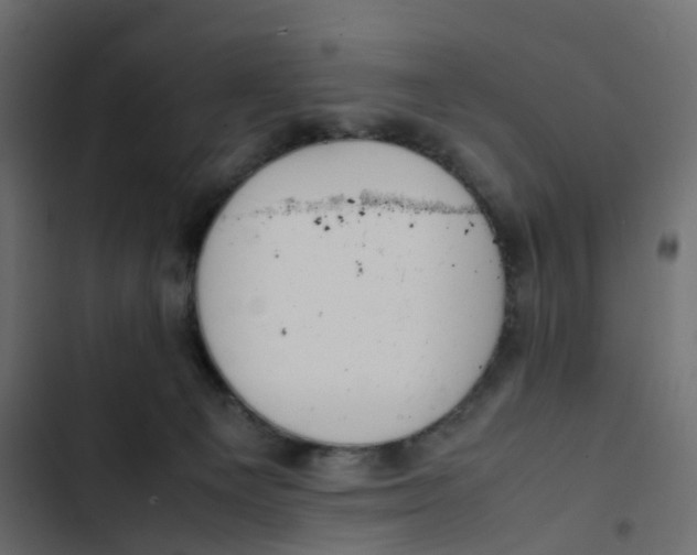 X0000103330129200809261209