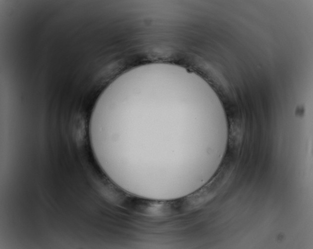 X0000103330130200809261209