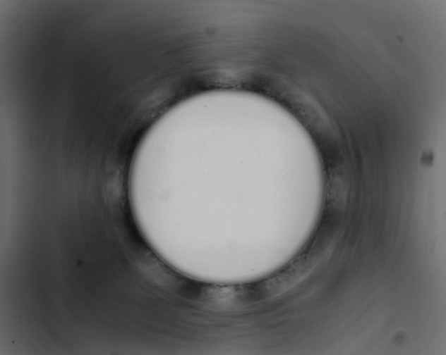 X0000103330131200809261209