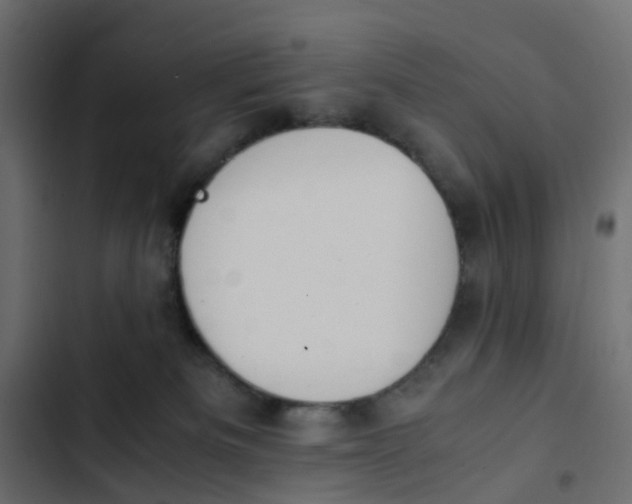 X0000103330133200809261209