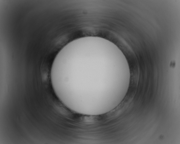 X0000103330134200809261209