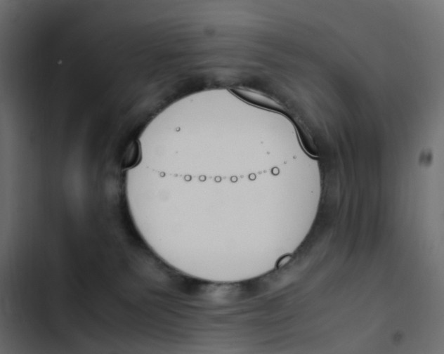 X0000103330135200809261209