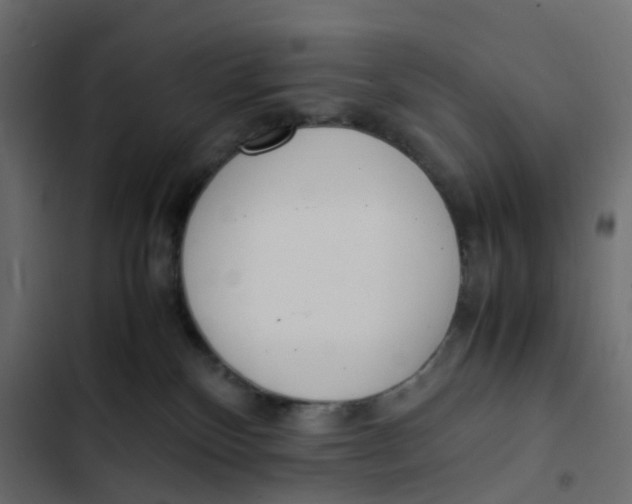 X0000103330136200809261209