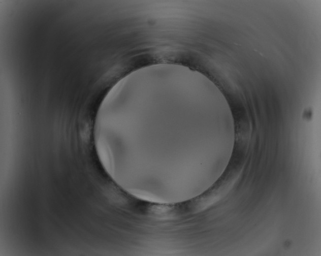 X0000103330139200809261209