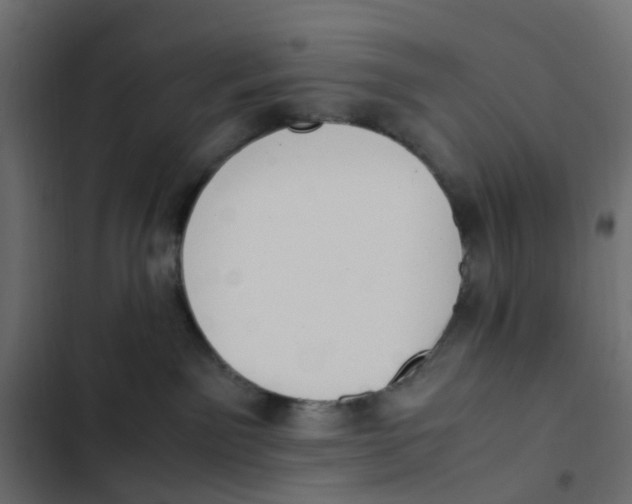 X0000103330141200809261209