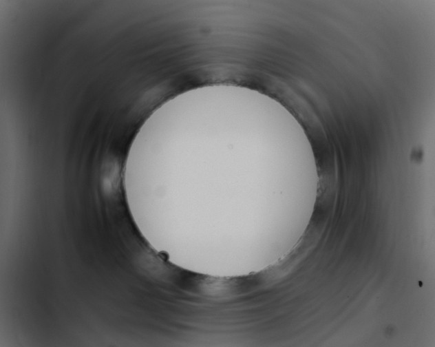 X0000103330142200809261209