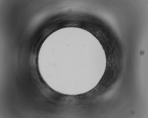 X0000103330146200809261209