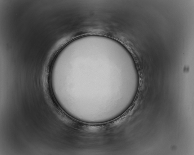 X0000103330149200809261209