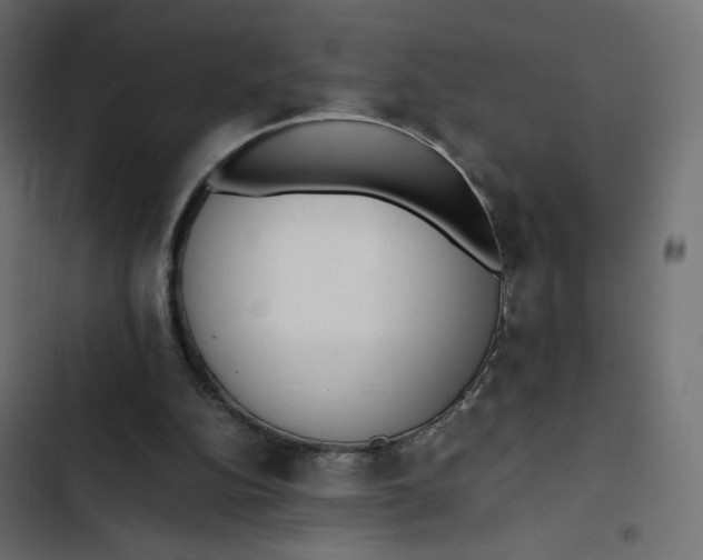 X0000103330152200809261209