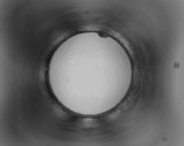 X0000103330153200809261209