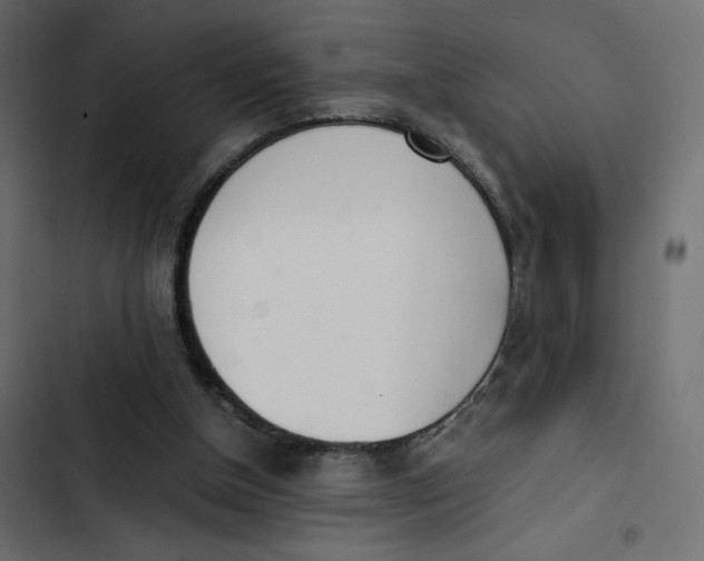 X0000103330154200809261209