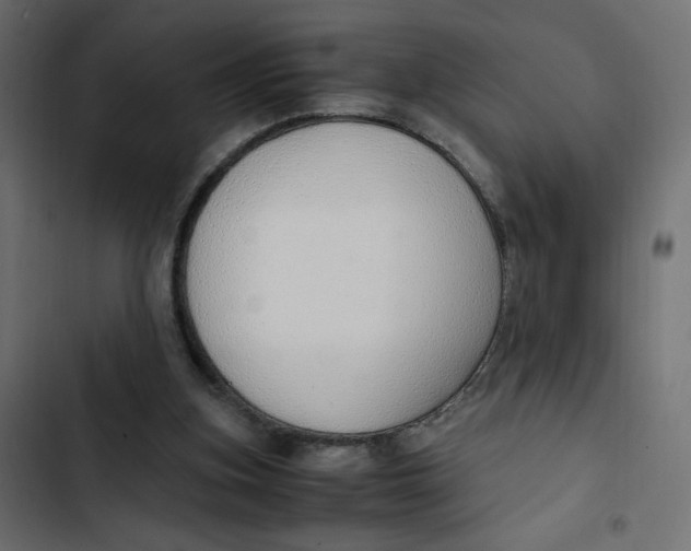 X0000103330155200809261209