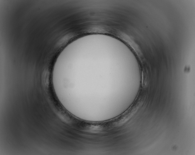 X0000103330157200809261209