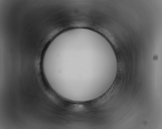 X0000103330159200809261209