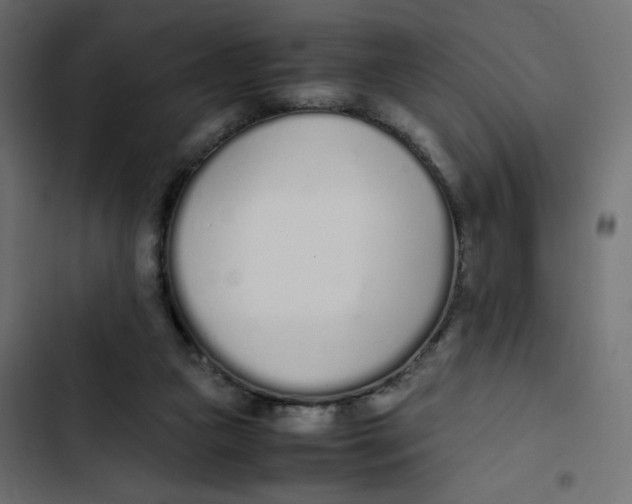 X0000103330161200809261209