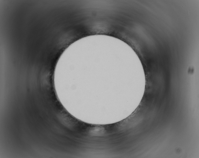 X0000103330162200809261209