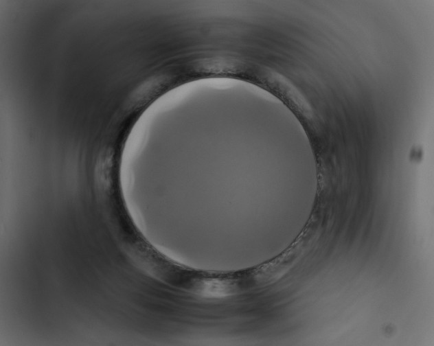 X0000103330163200809261209