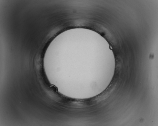 X0000103330164200809261209