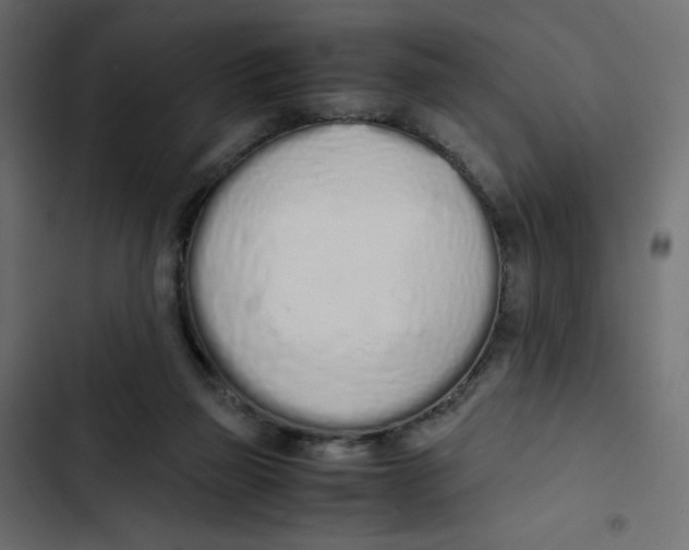 X0000103330165200809261209