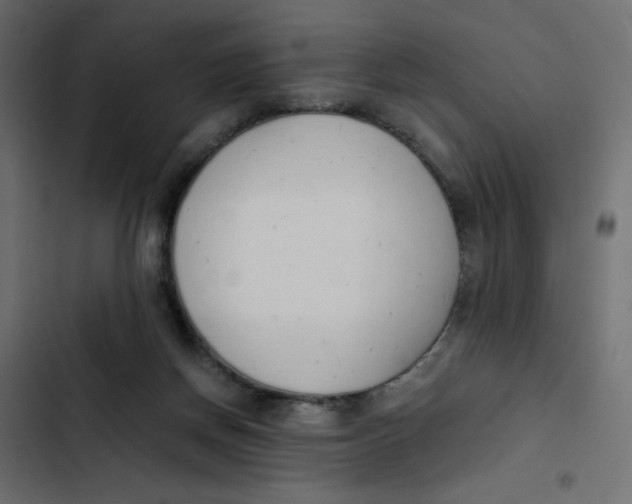 X0000103330166200809261209