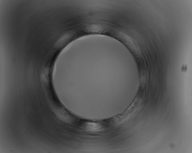 X0000103330167200809261209