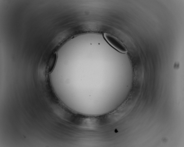 X0000103330168200809261209