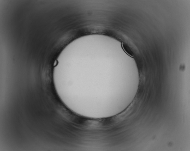 X0000103330170200809261209