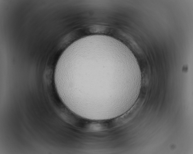 X0000103330171200809261209