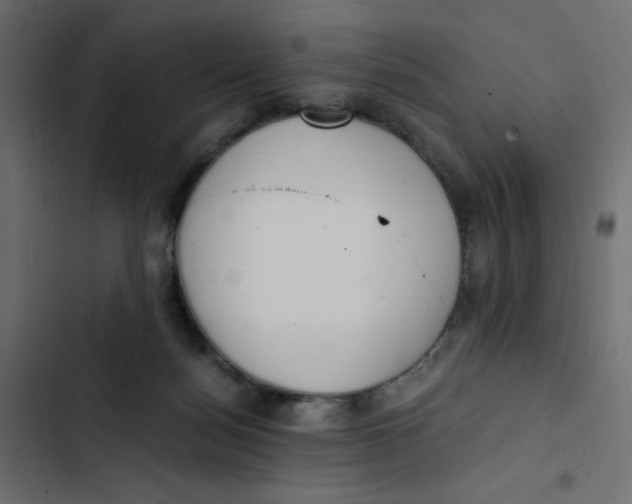 X0000103330172200809261209