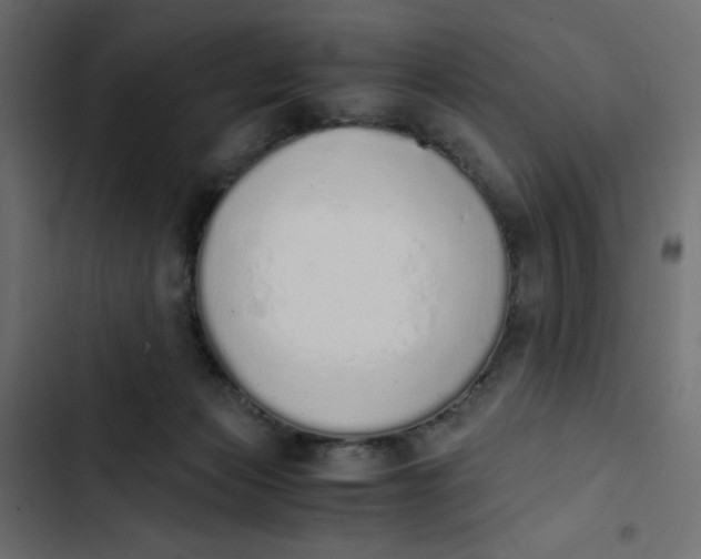 X0000103330173200809261209