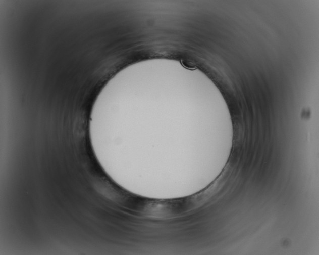 X0000103330174200809261209