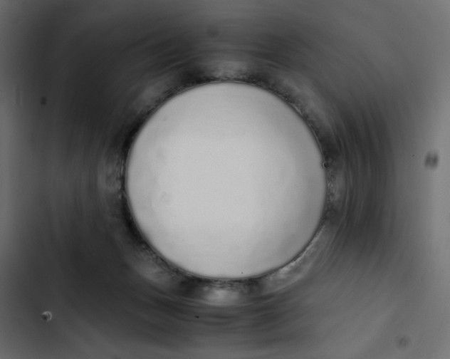 X0000103330175200809261209