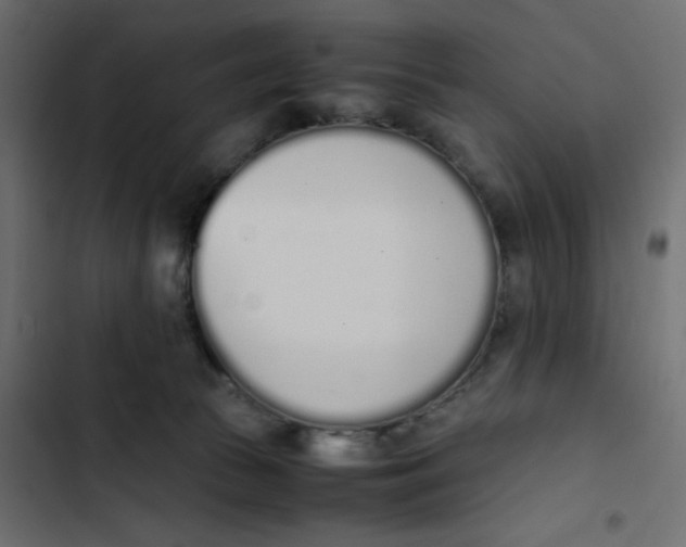 X0000103330177200809261209