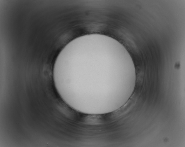 X0000103330179200809261209