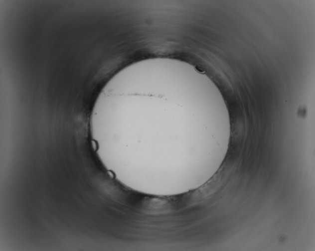 X0000103330180200809261209