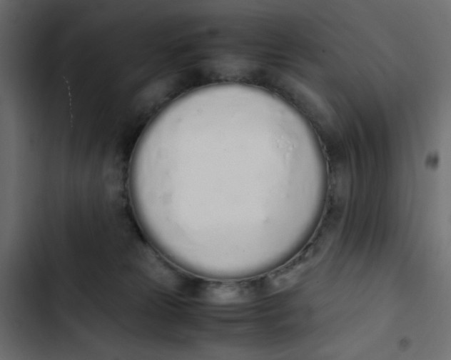 X0000103330181200809261209