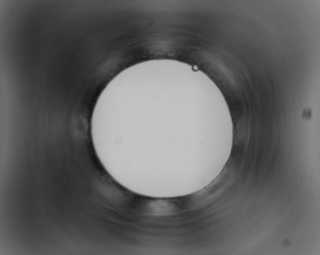 X0000103330183200809261209