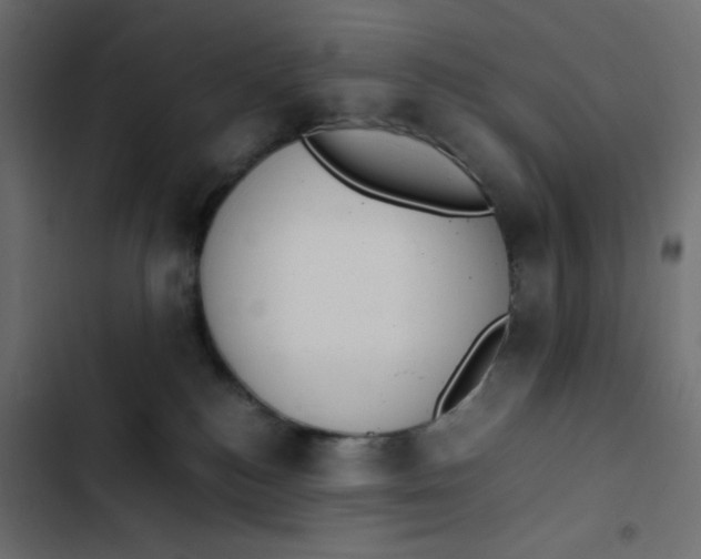 X0000103330184200809261209