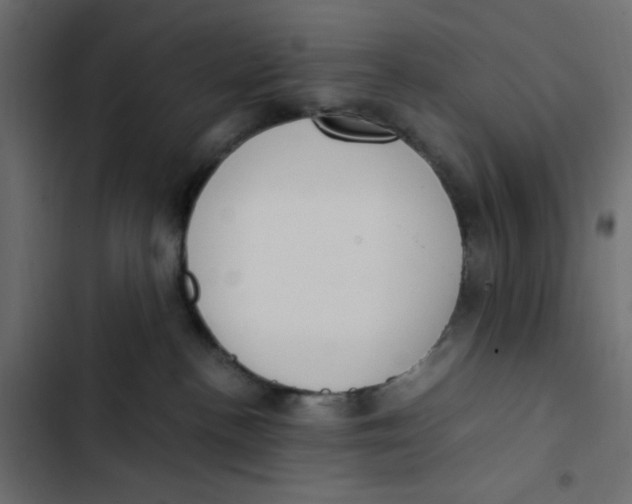 X0000103330188200809261209