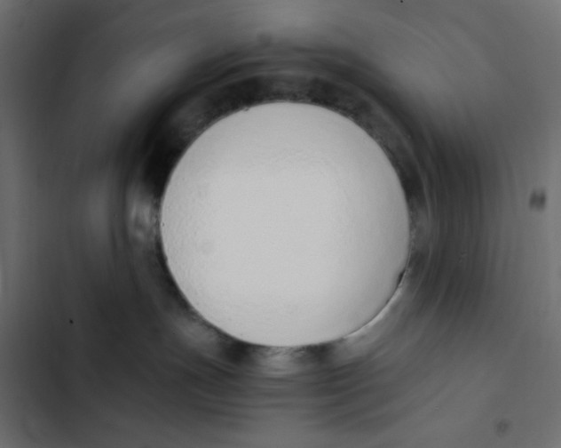 X0000103330191200809261209